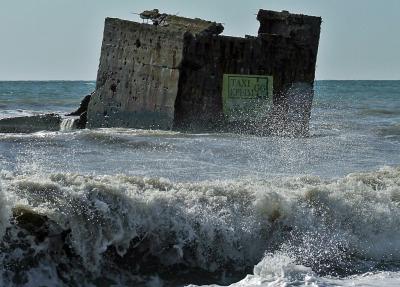 Прикрепленное изображение: DSCF7994.jpg